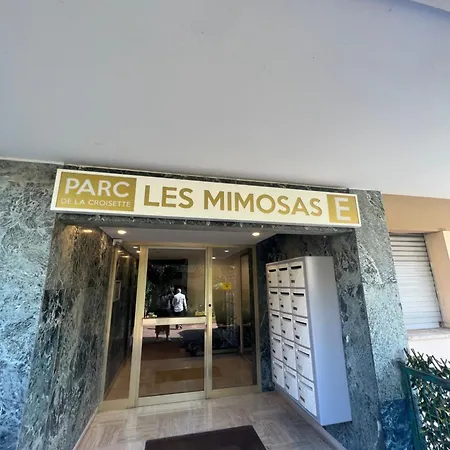 Mimosas By Welcome To * Cannes