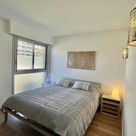Apartment Mimosas By Welcome To Cannes
